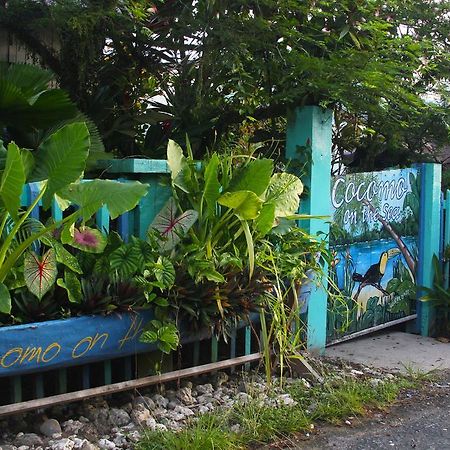 Cocomo On The Sea Bed & Breakfast Bocas del Toro Exterior foto