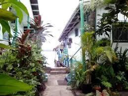 Cocomo On The Sea Bed & Breakfast Bocas del Toro Exterior foto