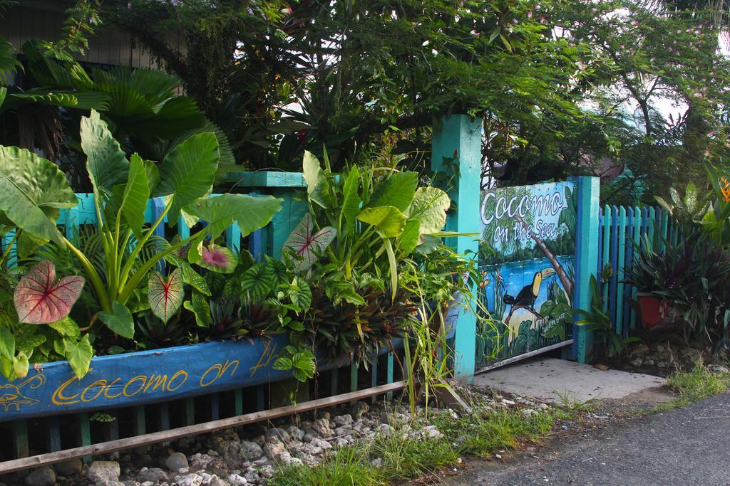 Cocomo On The Sea Bed & Breakfast Bocas del Toro Exterior foto